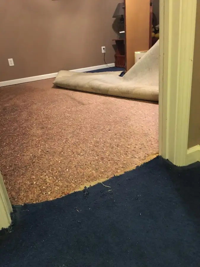 Carpet pad removal revealing water damage during Drying & Dehumidification in Marcellus