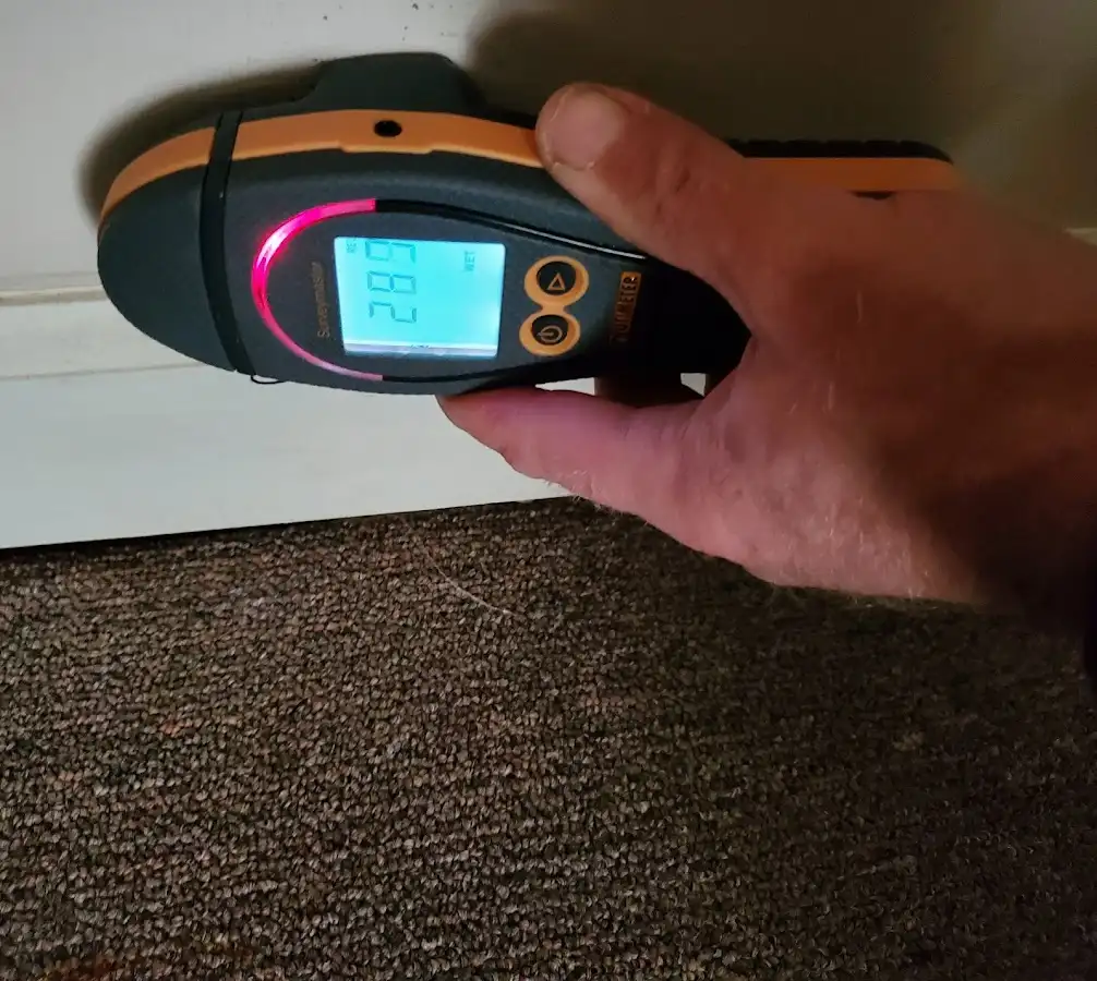 Moisture detection at baseboard during Mold Inspection & Testing in Marcellus